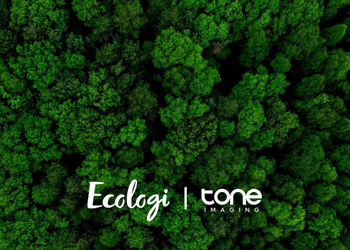 Eco Credentials - Tone Forest