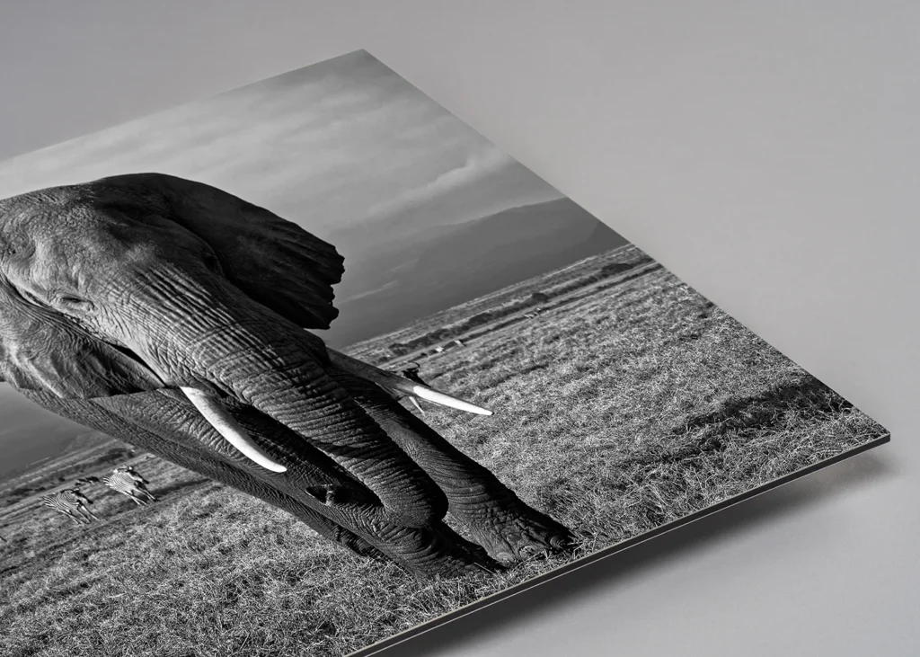 Mounting - Direct to Media - Dibond