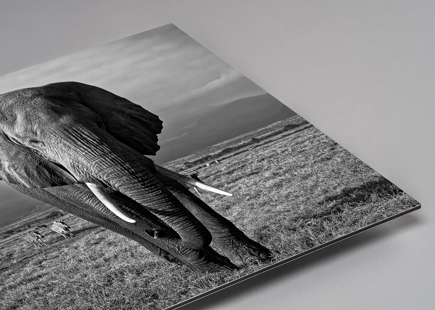 Mounting - Direct to Media - Dibond